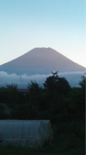 image-20120829102709.png