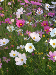 image-20131029154151.png