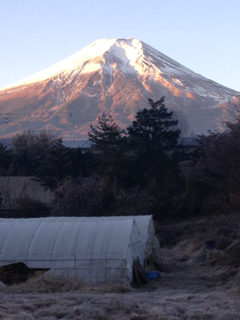 image-20131201160847.png